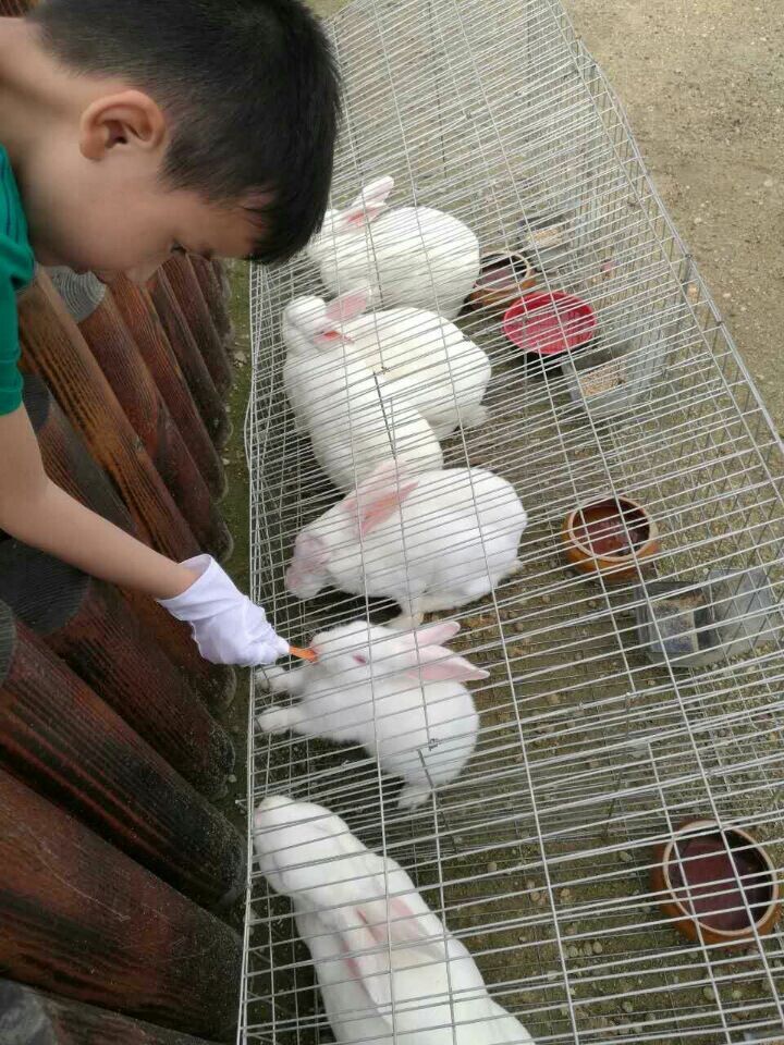 welcome-百乐博